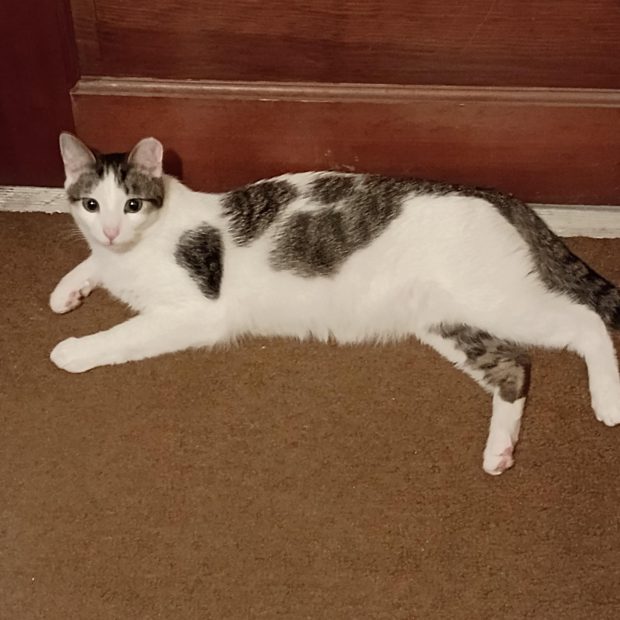 Charlie (and Pearl)