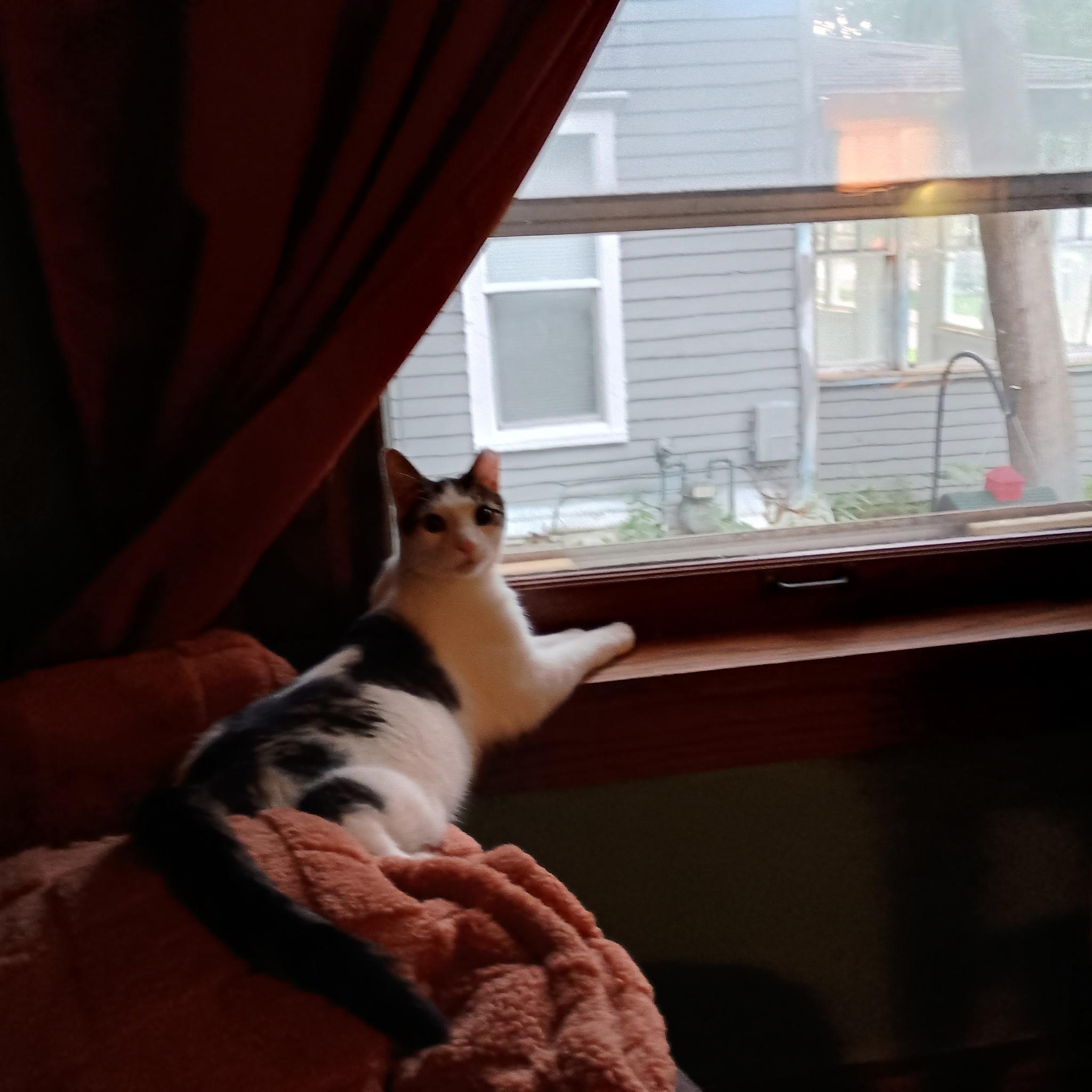 Charlie (and Pearl)