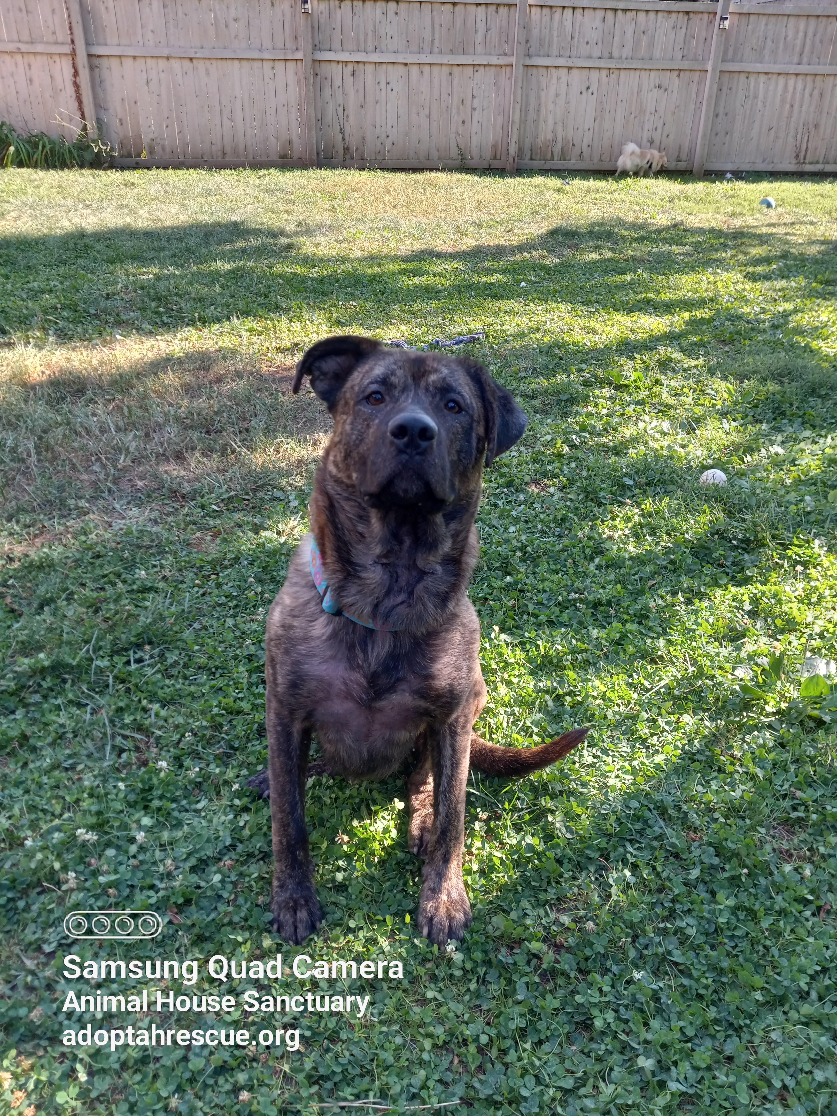 Zeus