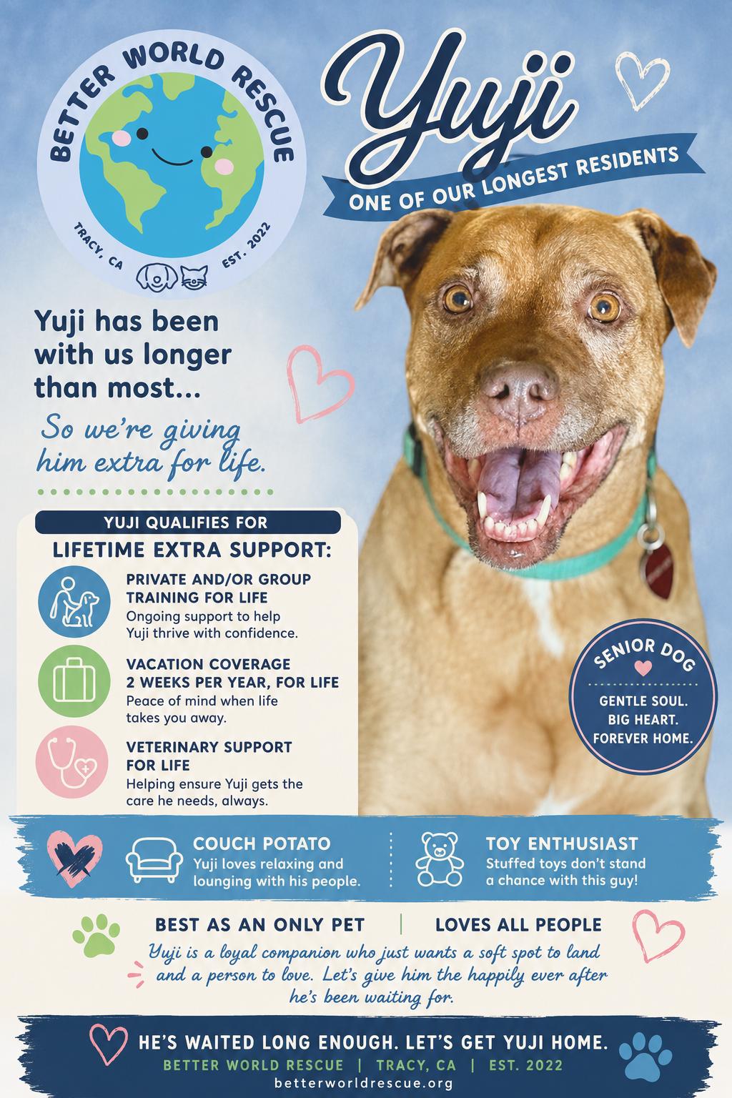 Yuji (Lifetime Support Included), a Adoptable mixed breed in Tracy, CA image 1/6