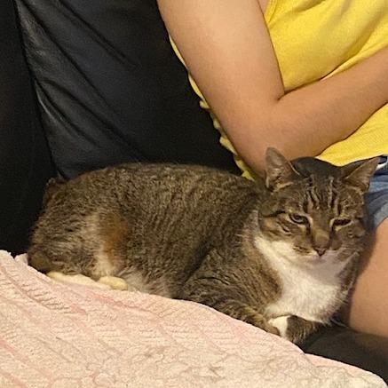 Janey — thumbnail 2