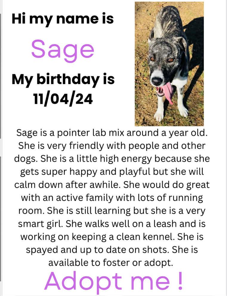 Sage