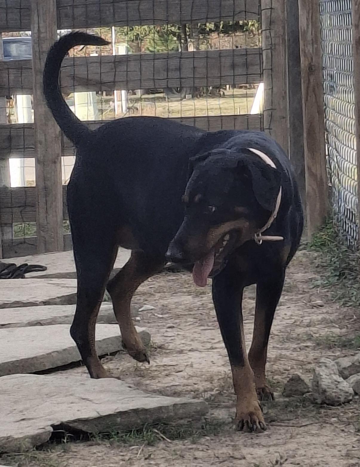 BABY — thumbnail 2