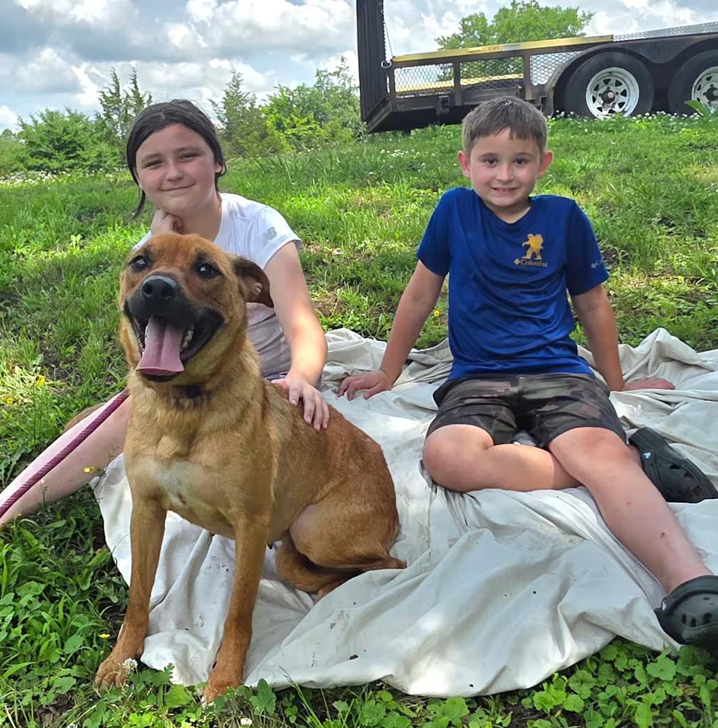 Ruby, a ADOPTABLE mixed breed in Watertown, CT image 2/5