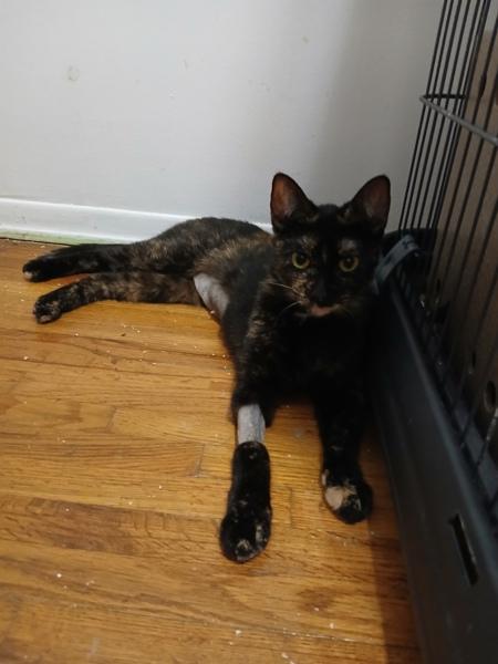 Blanket — thumbnail 4