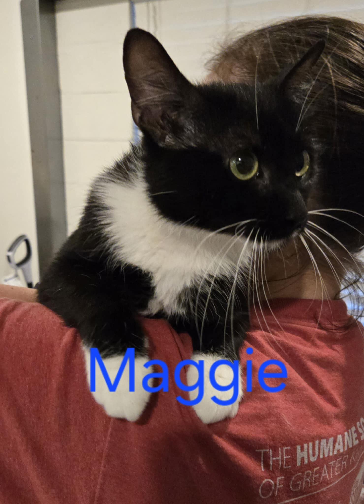Maggie