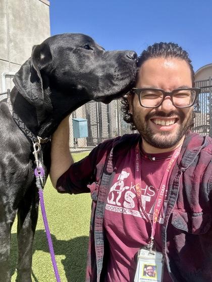 Enlarge Travis, a Adoptable mixed breed in Wichita, KS image 2/3