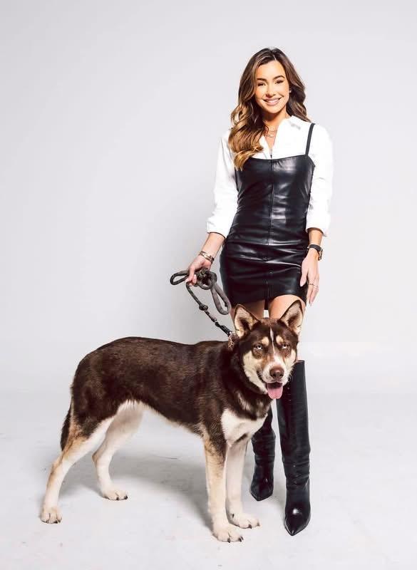 Enlarge RuBarbara, a ADOPTABLE Husky in Austin, TX image 3/5