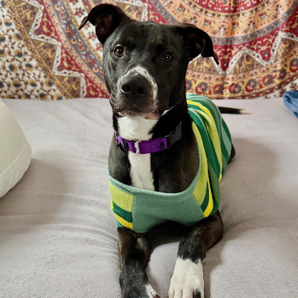 Bob Barker thumbnail 3