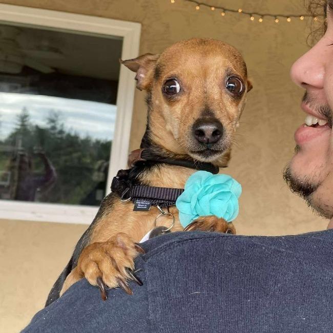 Cosmic — thumbnail 2