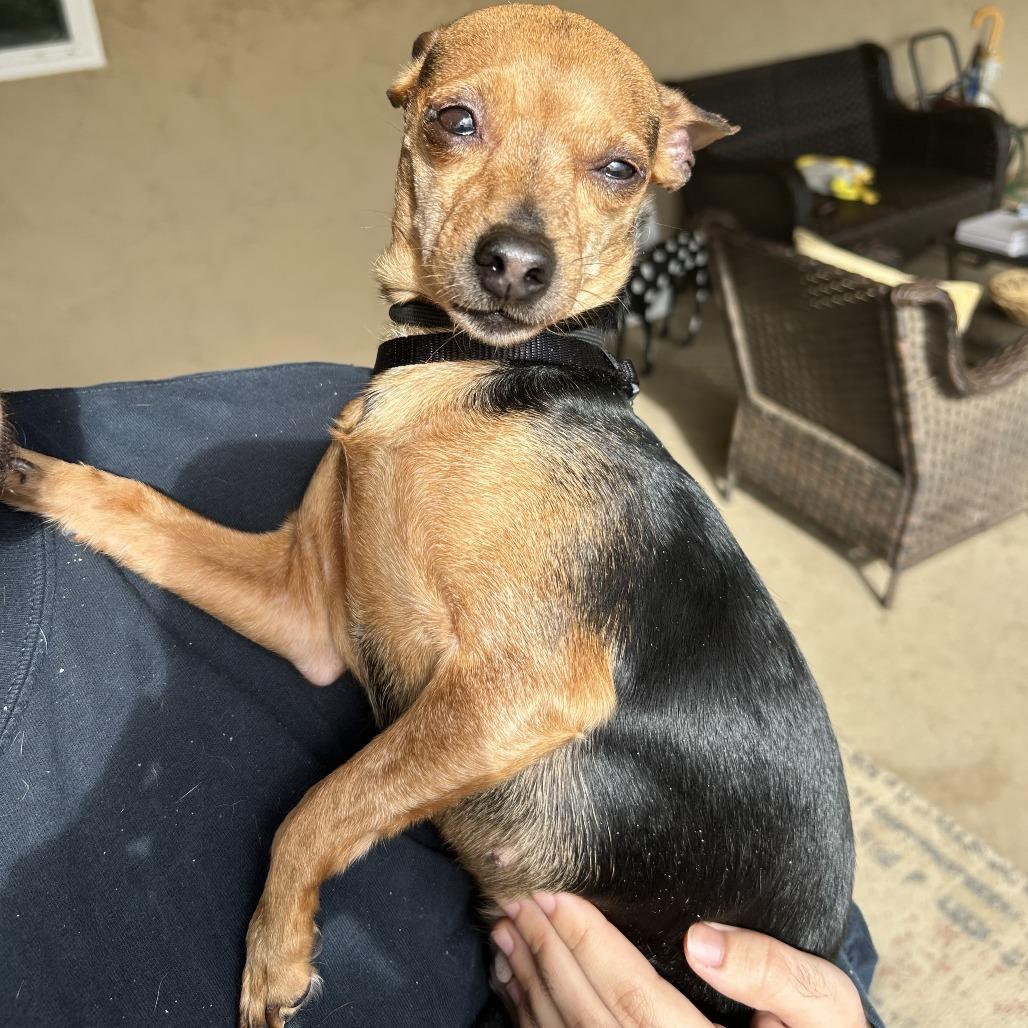 Cosmic — thumbnail 5