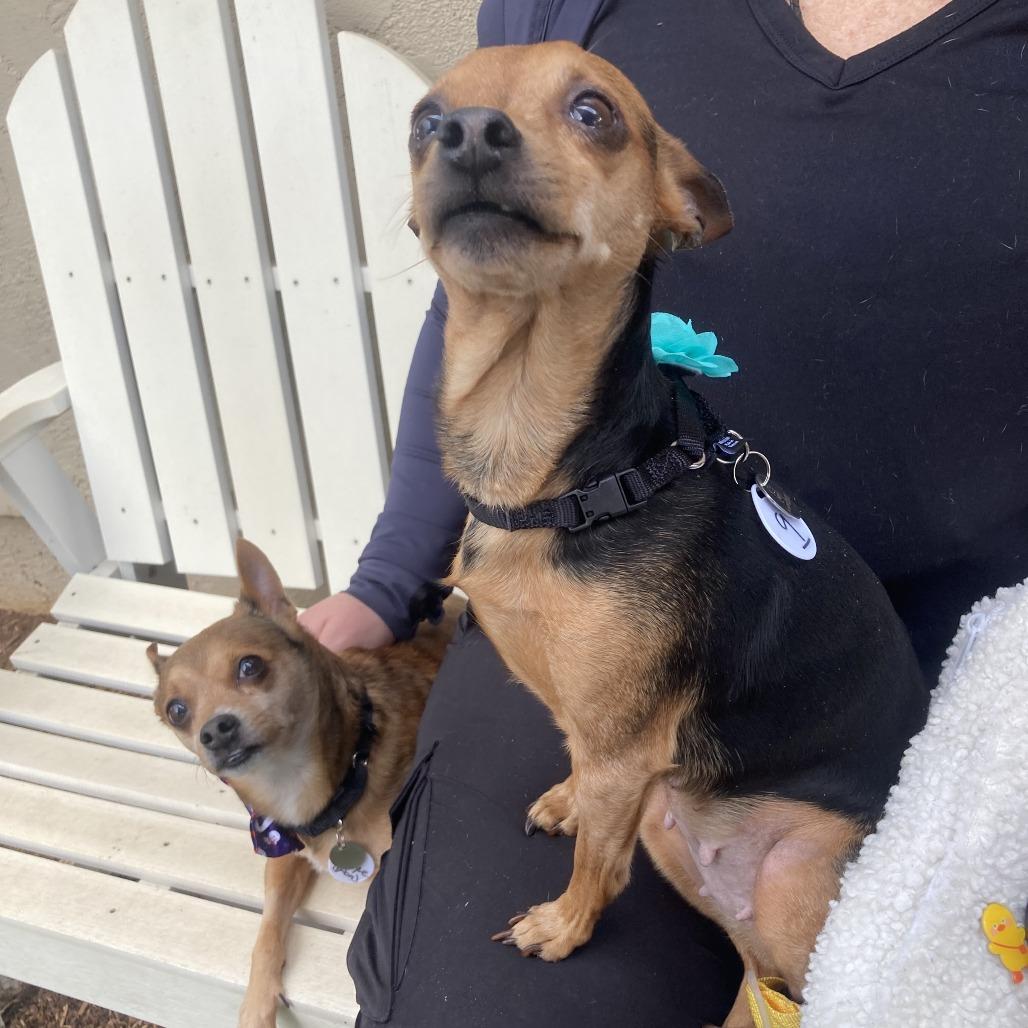 Cosmic — thumbnail 6