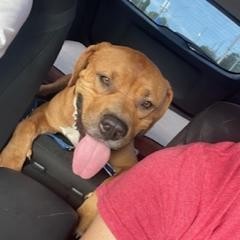 Scooby photo 2
