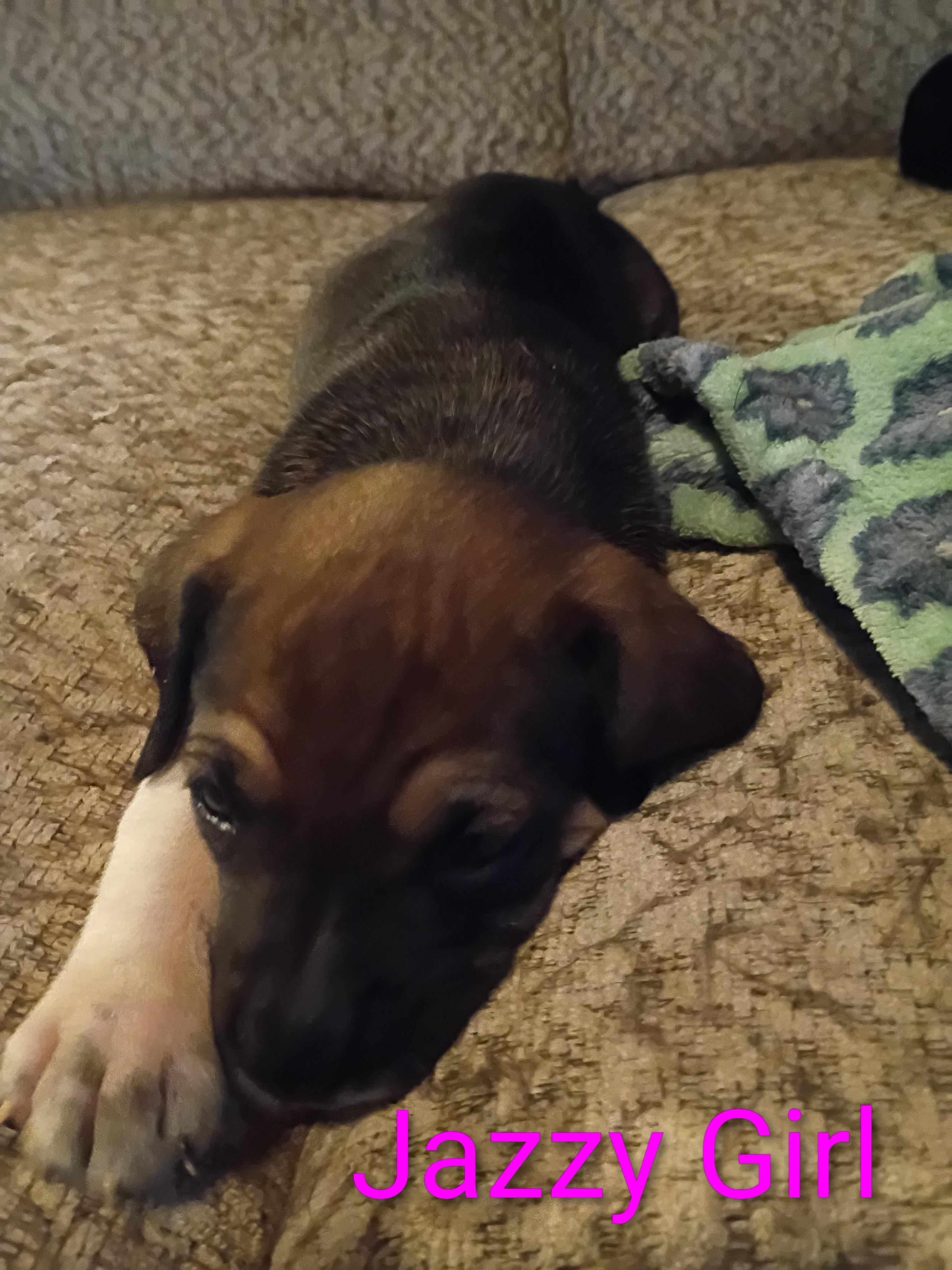 Jazzy Girl thumbnail 3