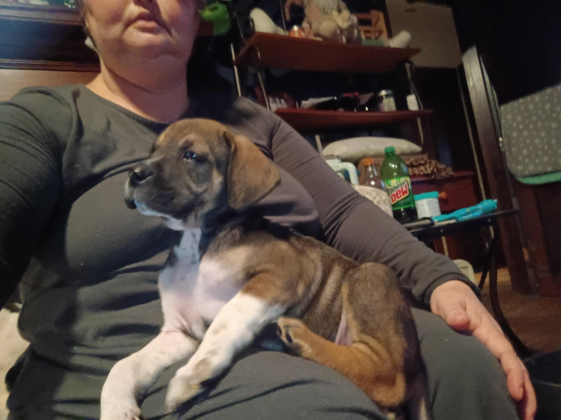 Jazzy Girl thumbnail 5