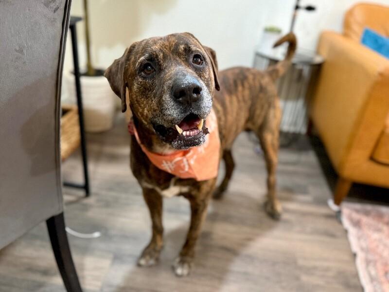 Uncle Joe Steady Eddie