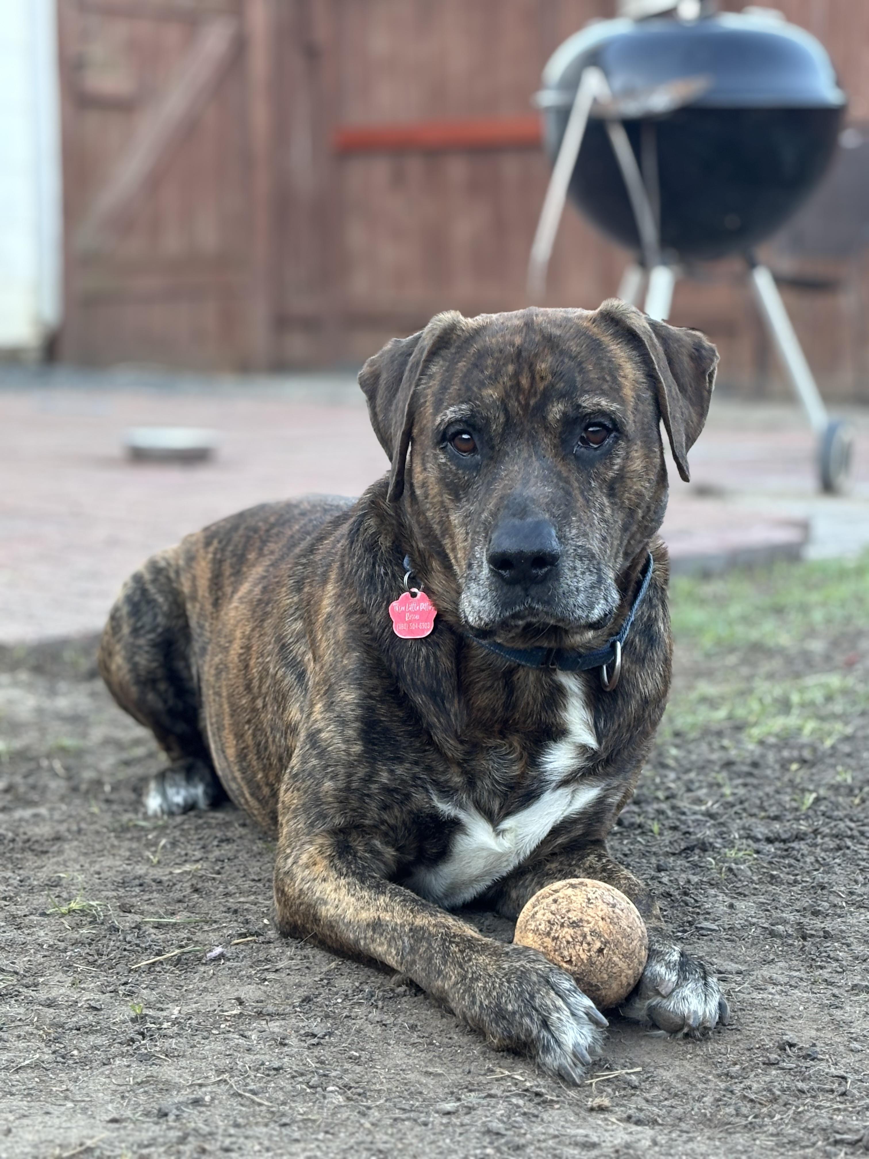 Uncle Joe Steady Eddie — thumbnail 4