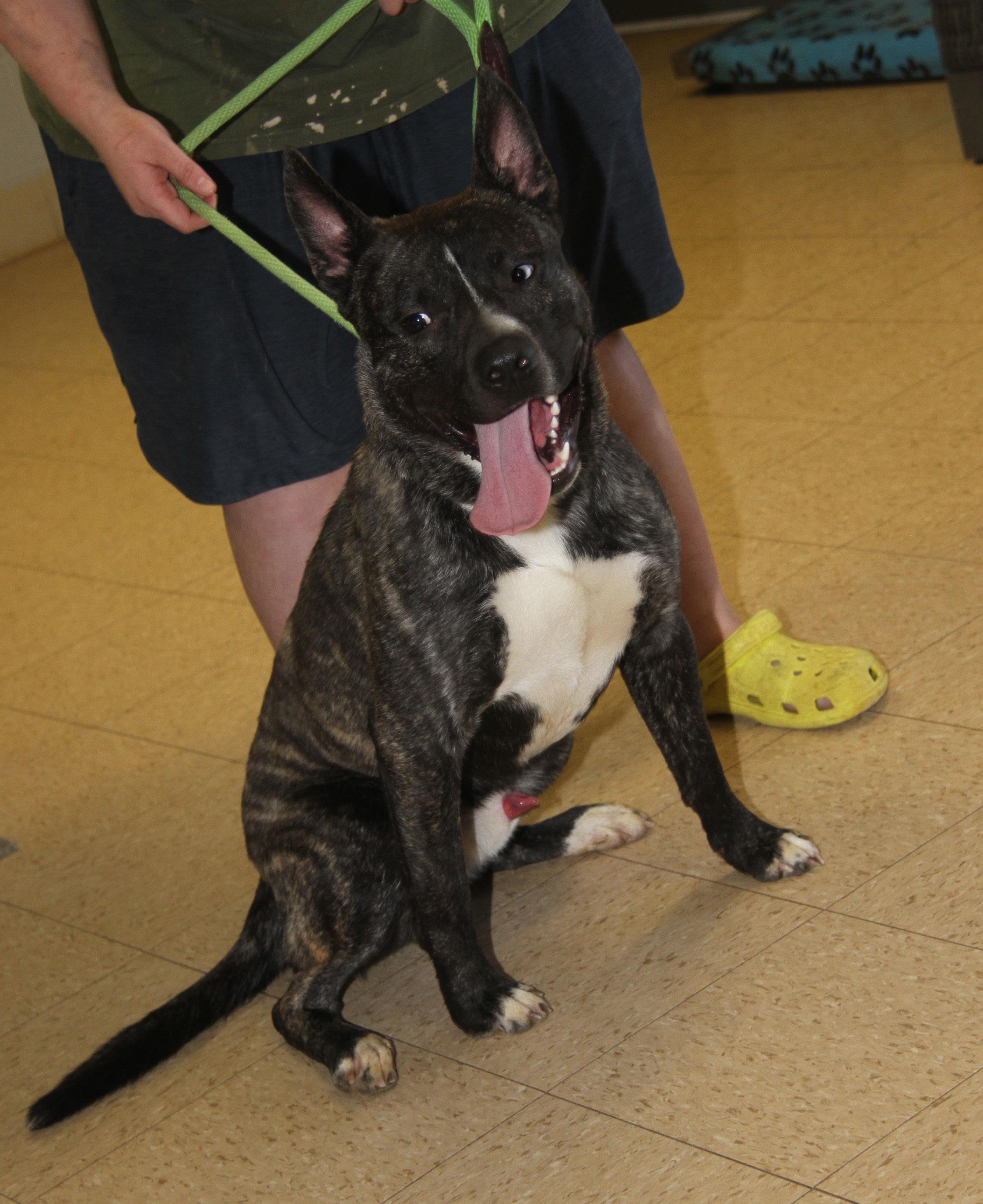 Sinatra photo 2