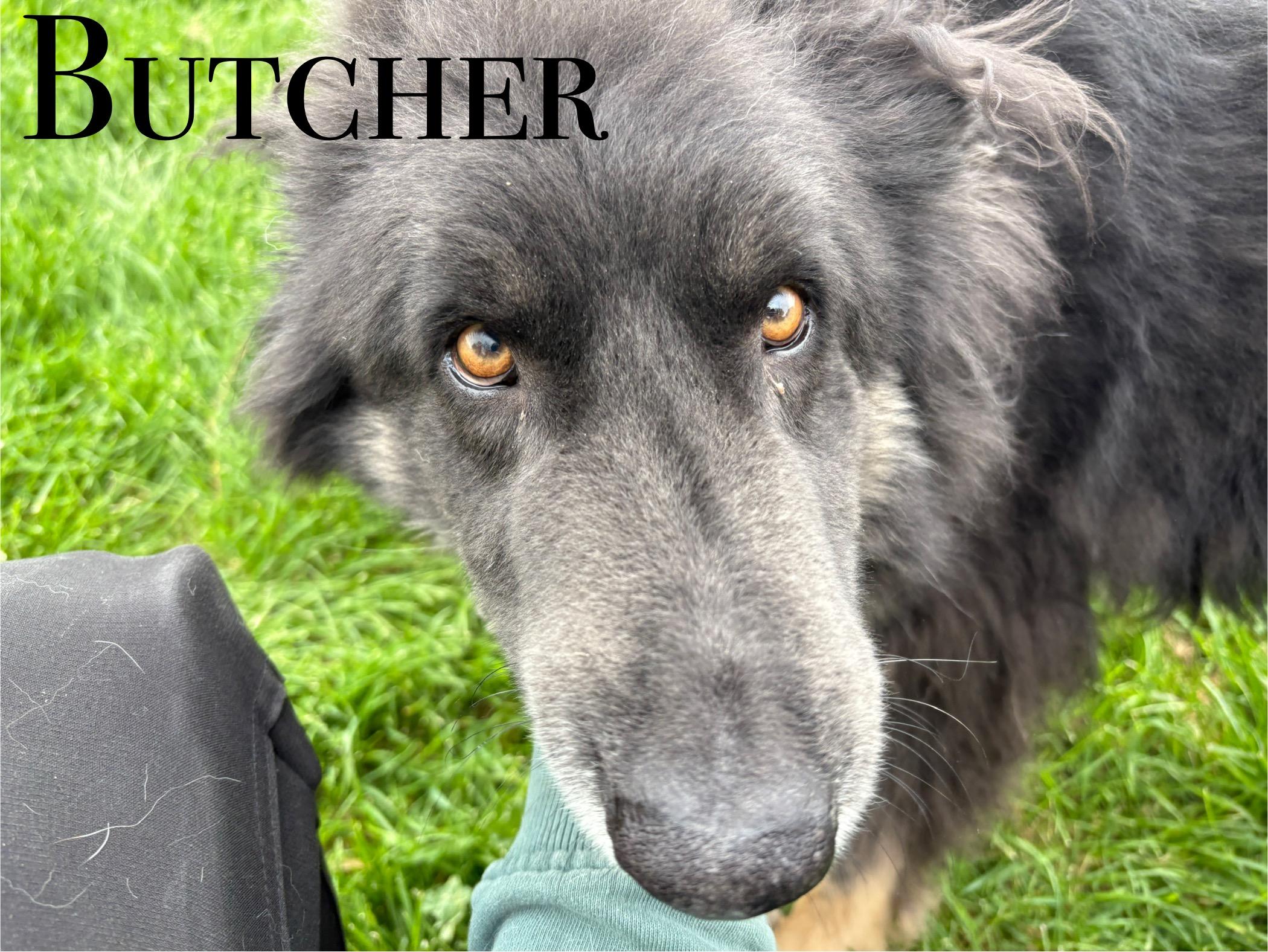 Butcher