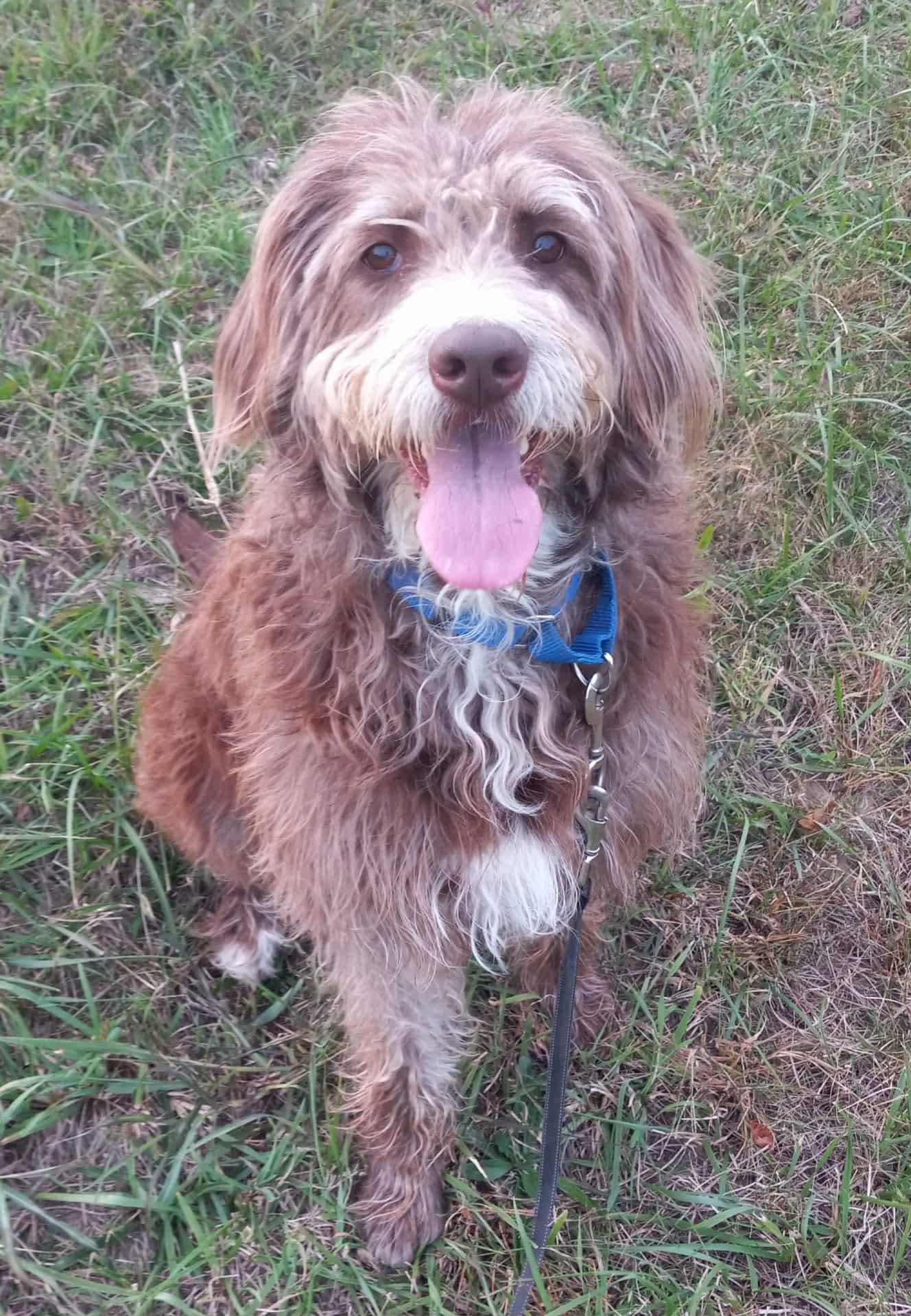 Hershee in Kentucky