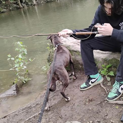 Puppuccino thumbnail 5