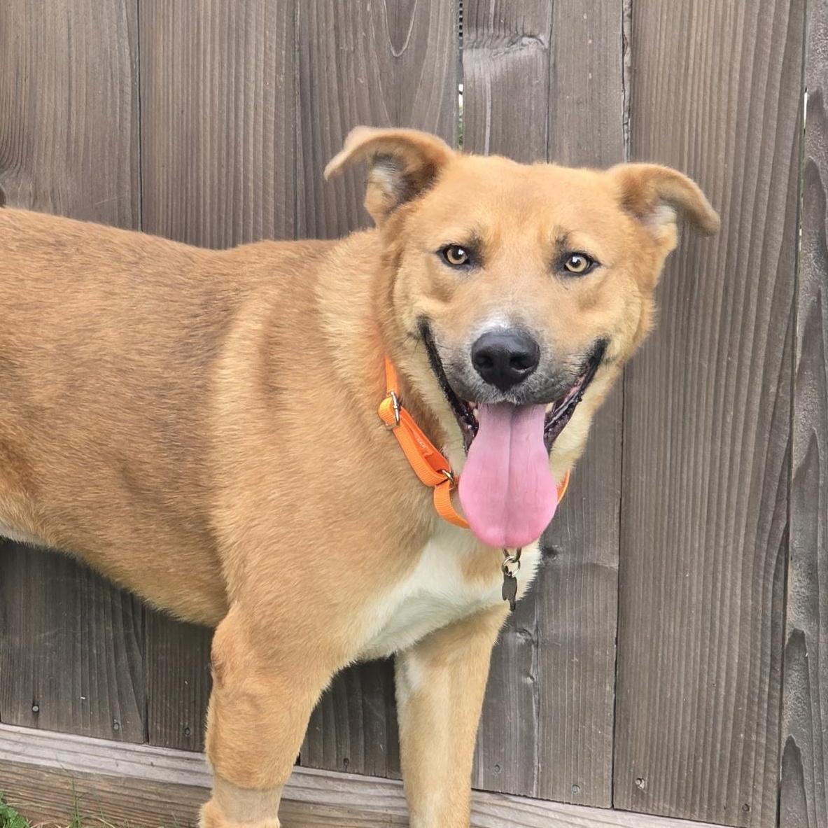 Russell — thumbnail 5