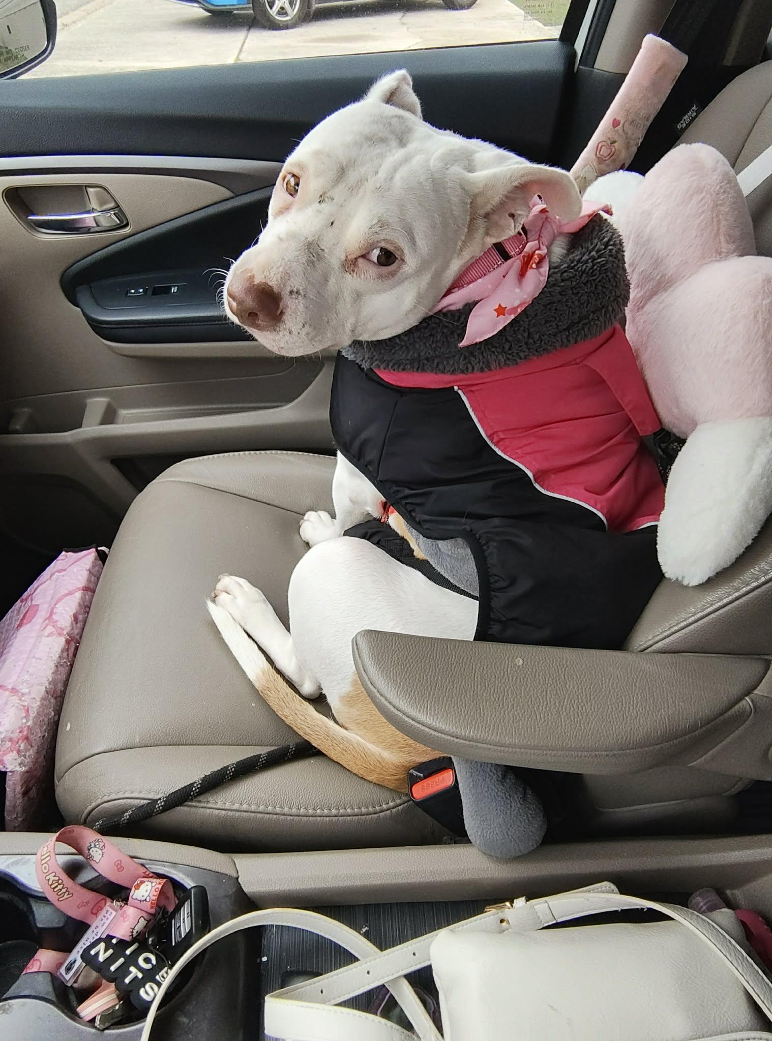 Moonee — thumbnail 2