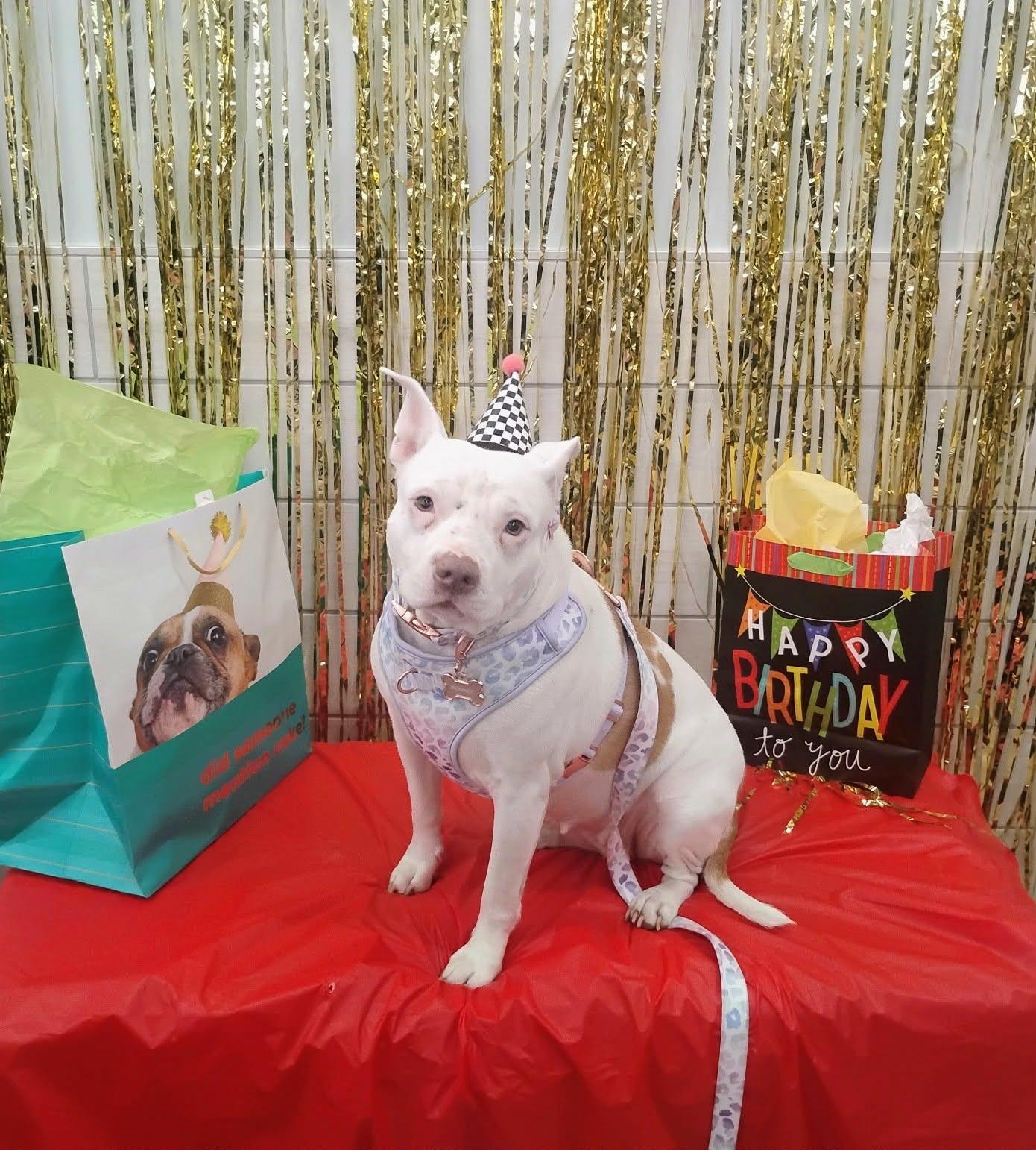 Moonee — thumbnail 3