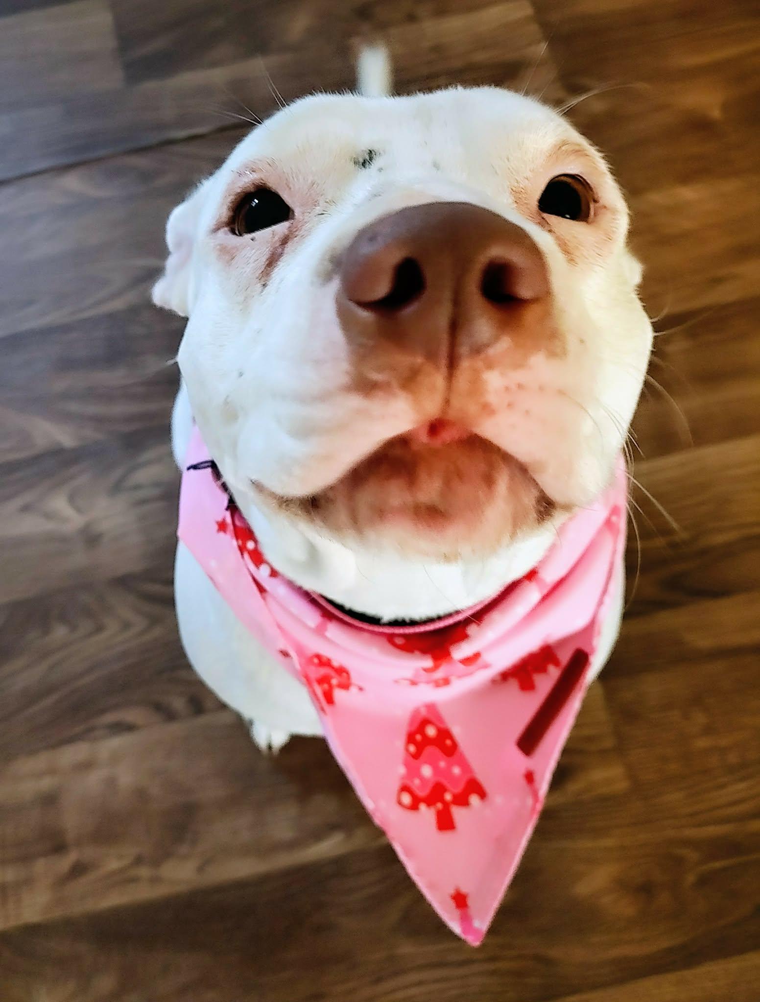 Moonee — thumbnail 4