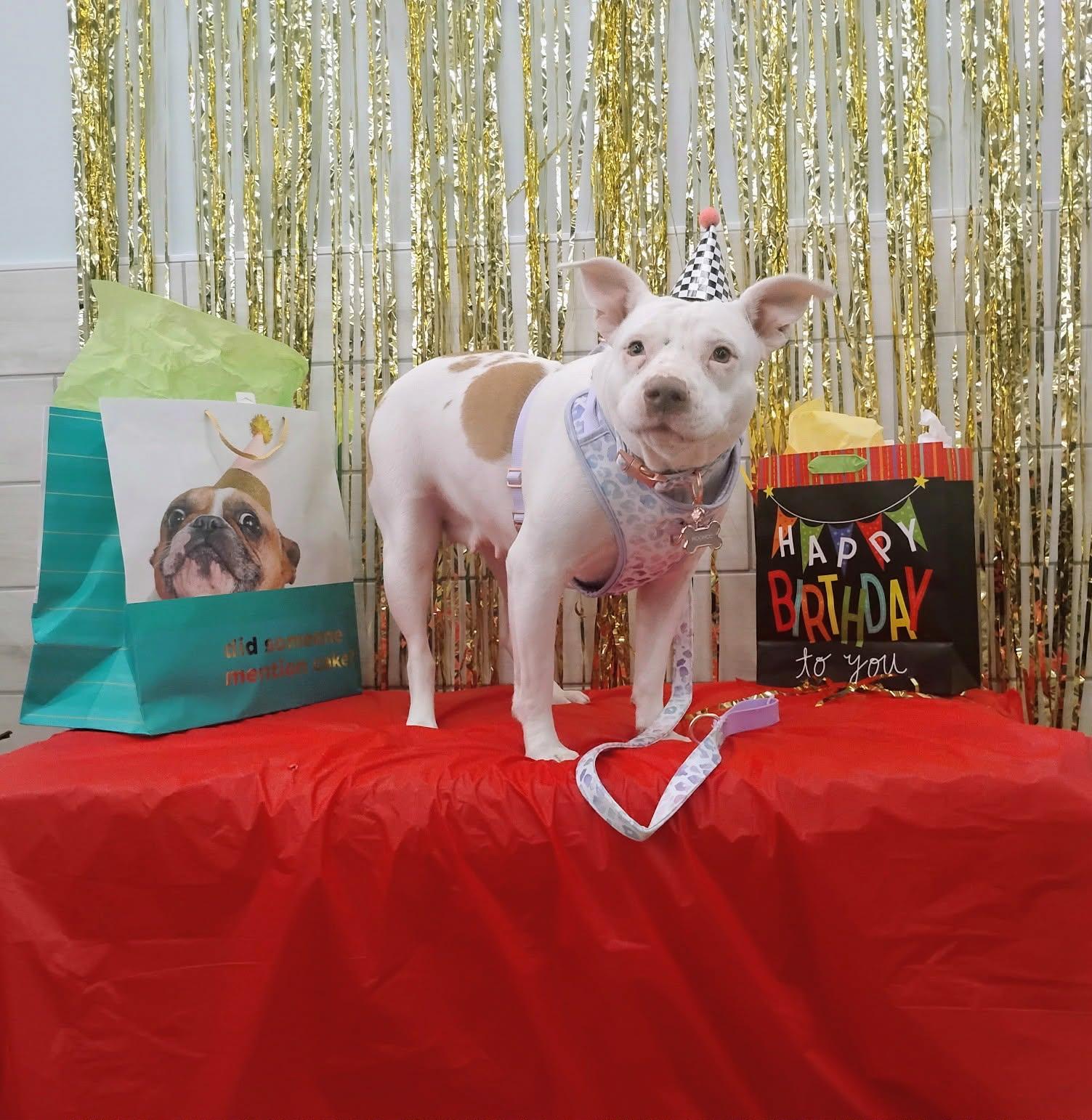 Moonee — thumbnail 5