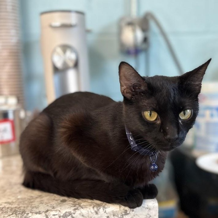 Sabrina