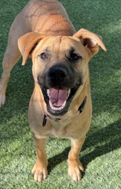 Shelly — thumbnail 5