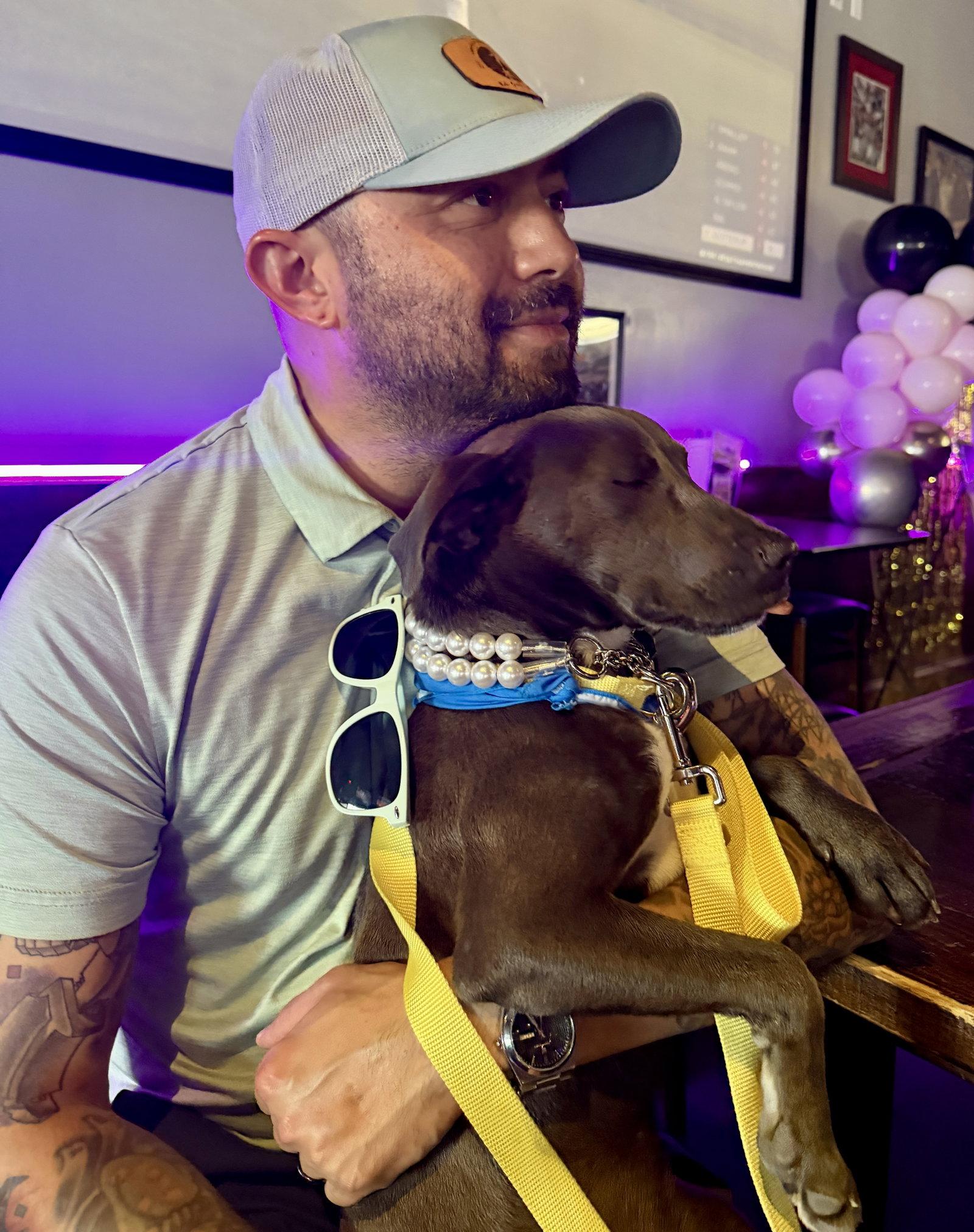 Coco, Adoptable, Young Female Pit Bull Terrier.
