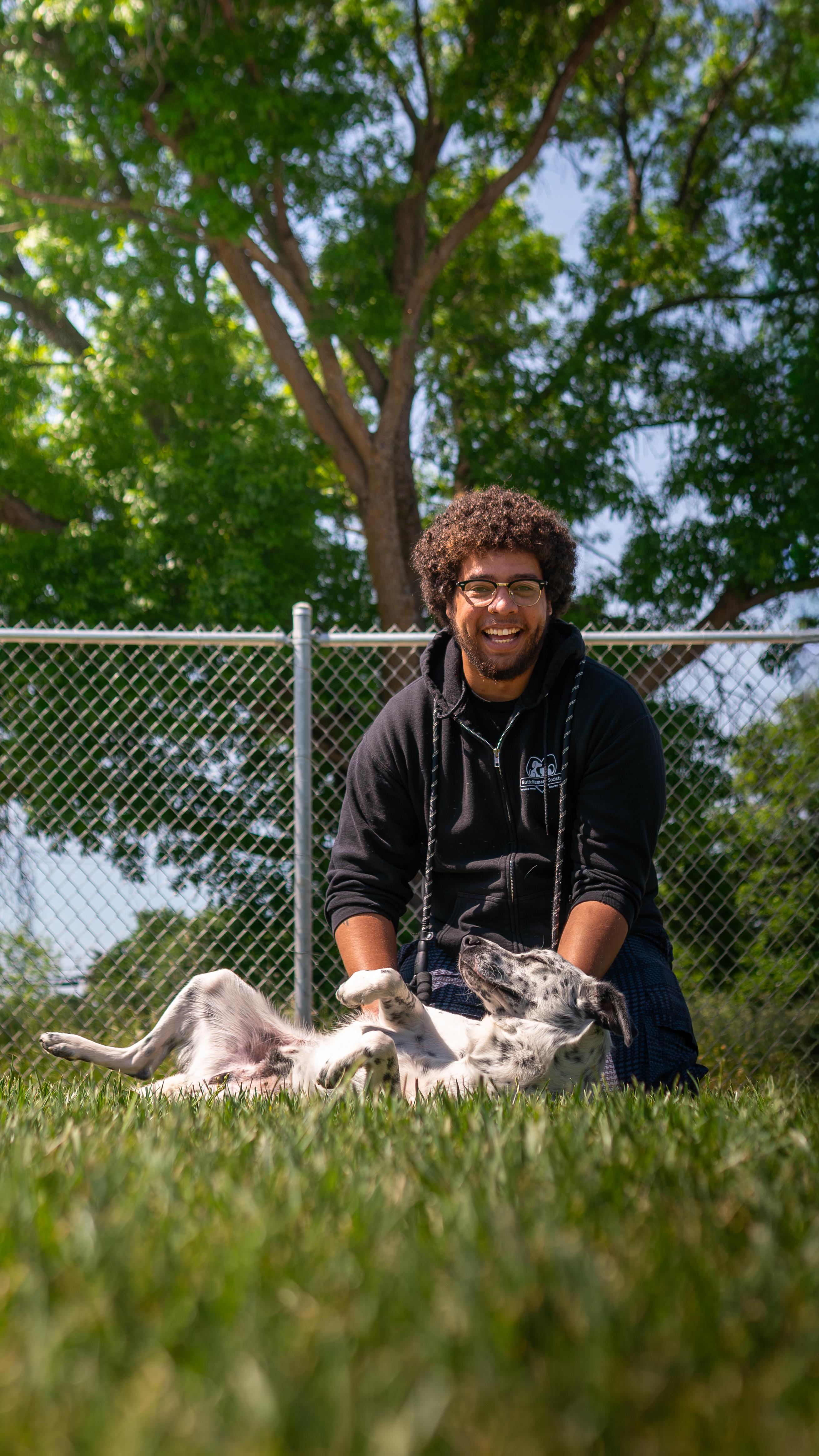 Rudy, Adoptable, Adult Male Border Collie.