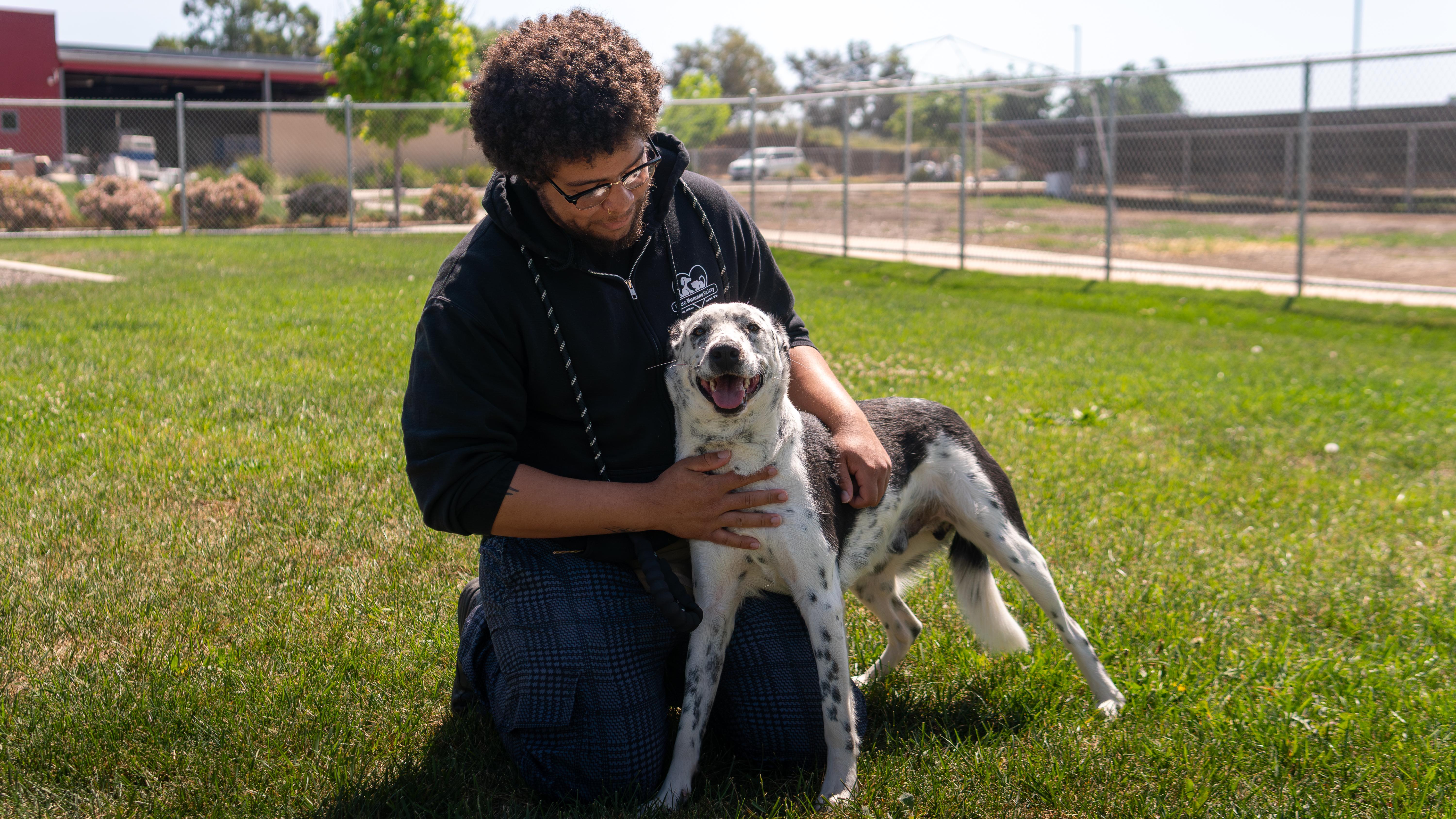 Enlarge Rudy, a Adoptable mixed breed in Chico, CA image 2/6