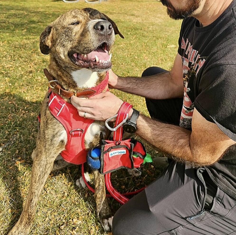 Kevin — thumbnail 3