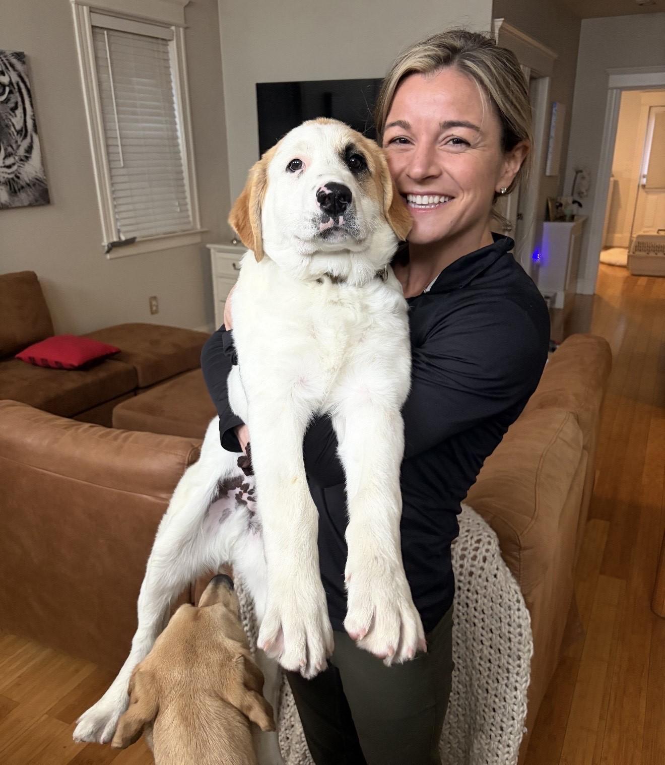 Enlarge Jacoby Jackpot - Local Pup, an adopted mixed breed in Andover, MA image 2/6