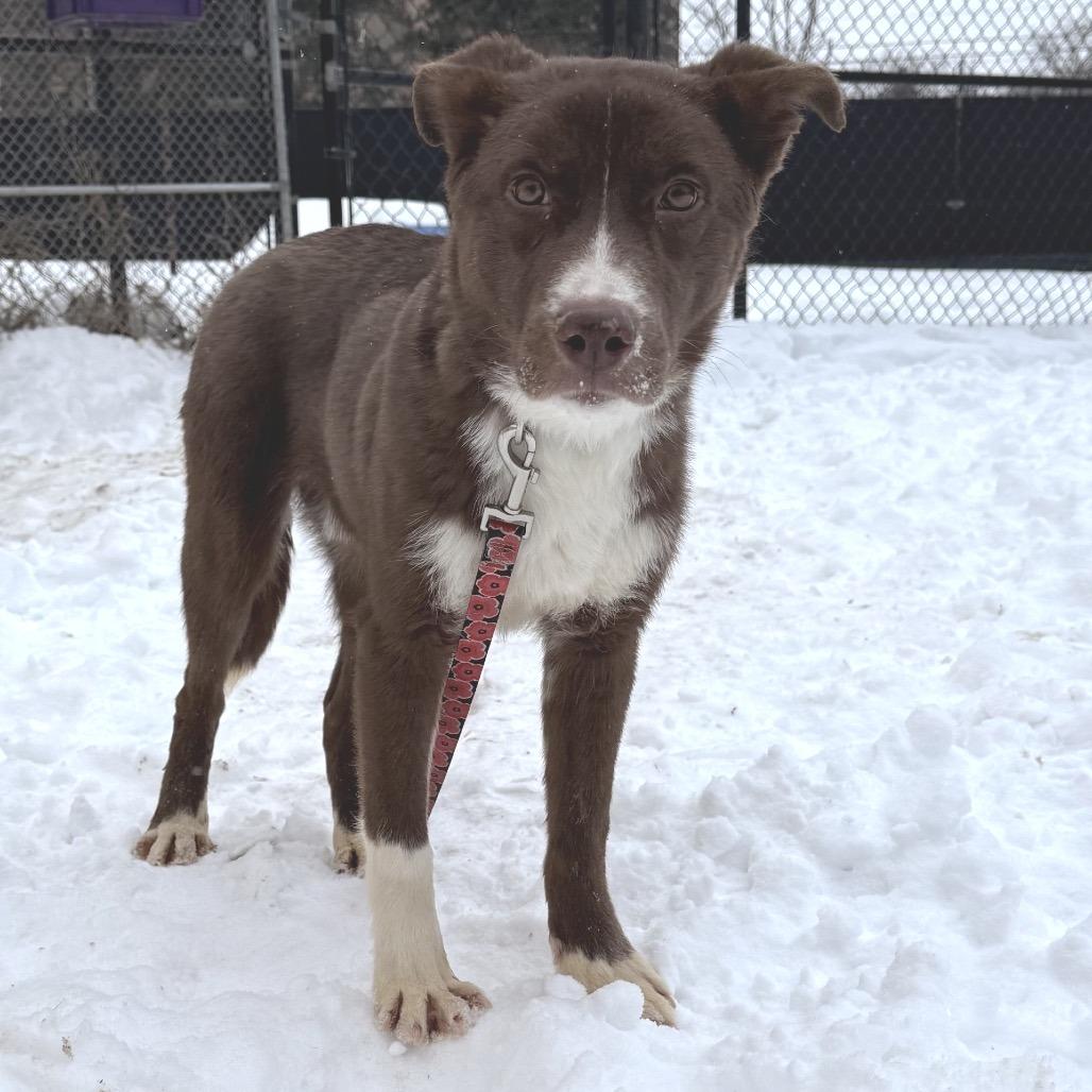 Bristol — thumbnail 2