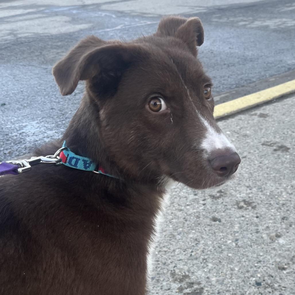 Bristol — thumbnail 3