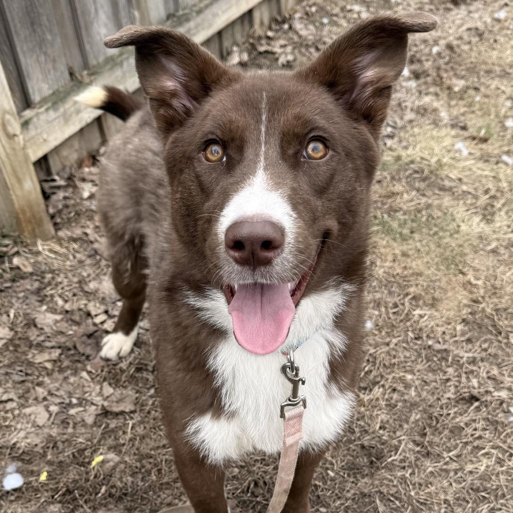 Bristol — thumbnail 4