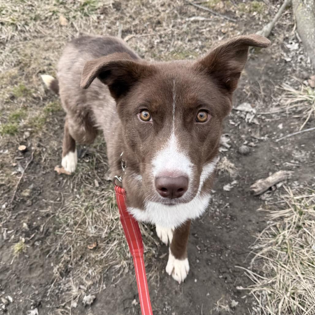 Bristol — thumbnail 5