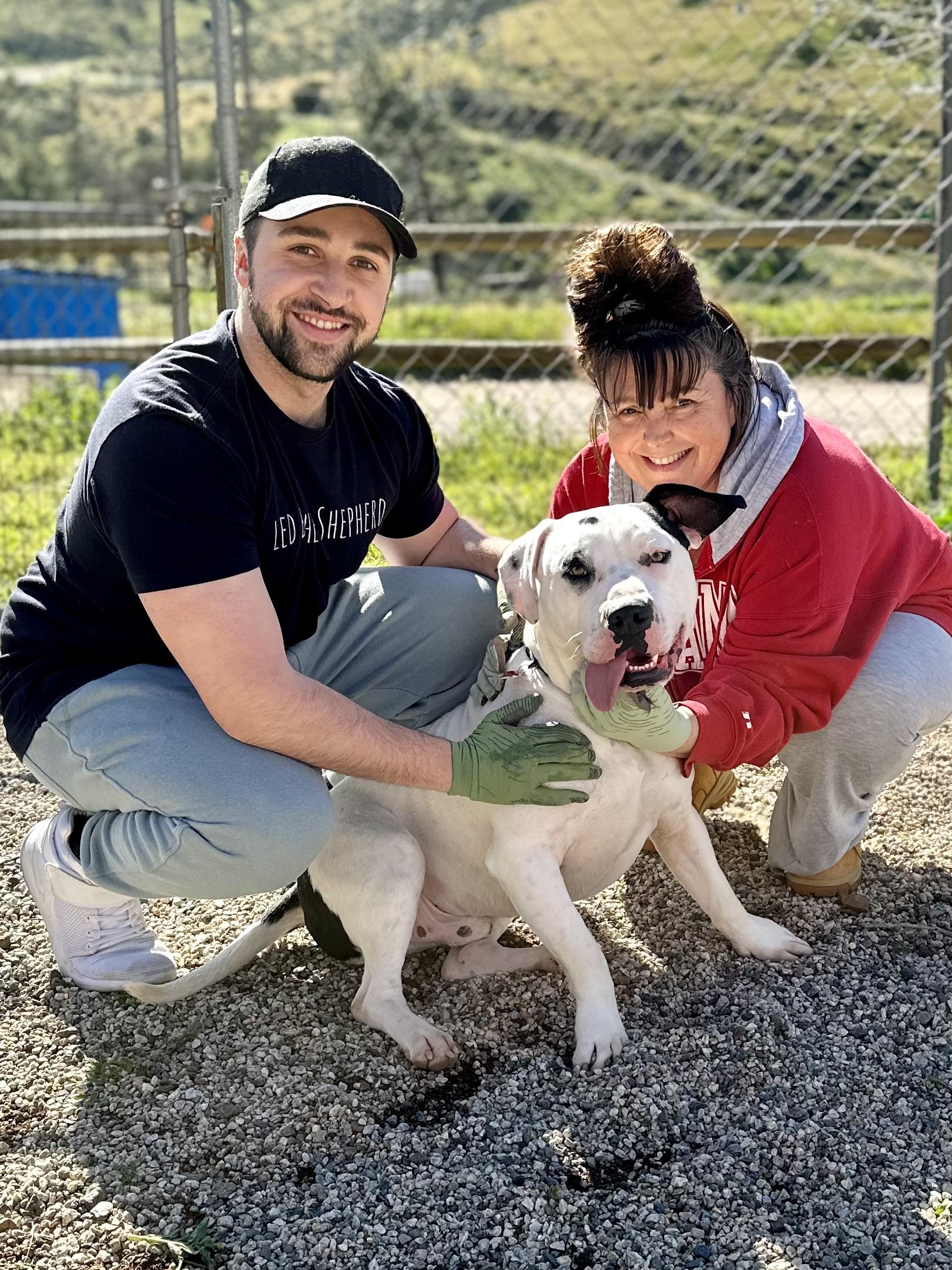 Enlarge Chip, a Adoptable mixed breed in Agua Dulce, CA image 4/6