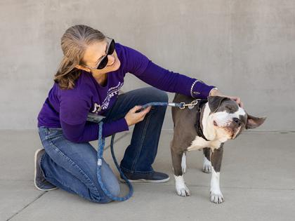 Enlarge Anya, a Adoptable mixed breed in Longmont, CO image 1/3