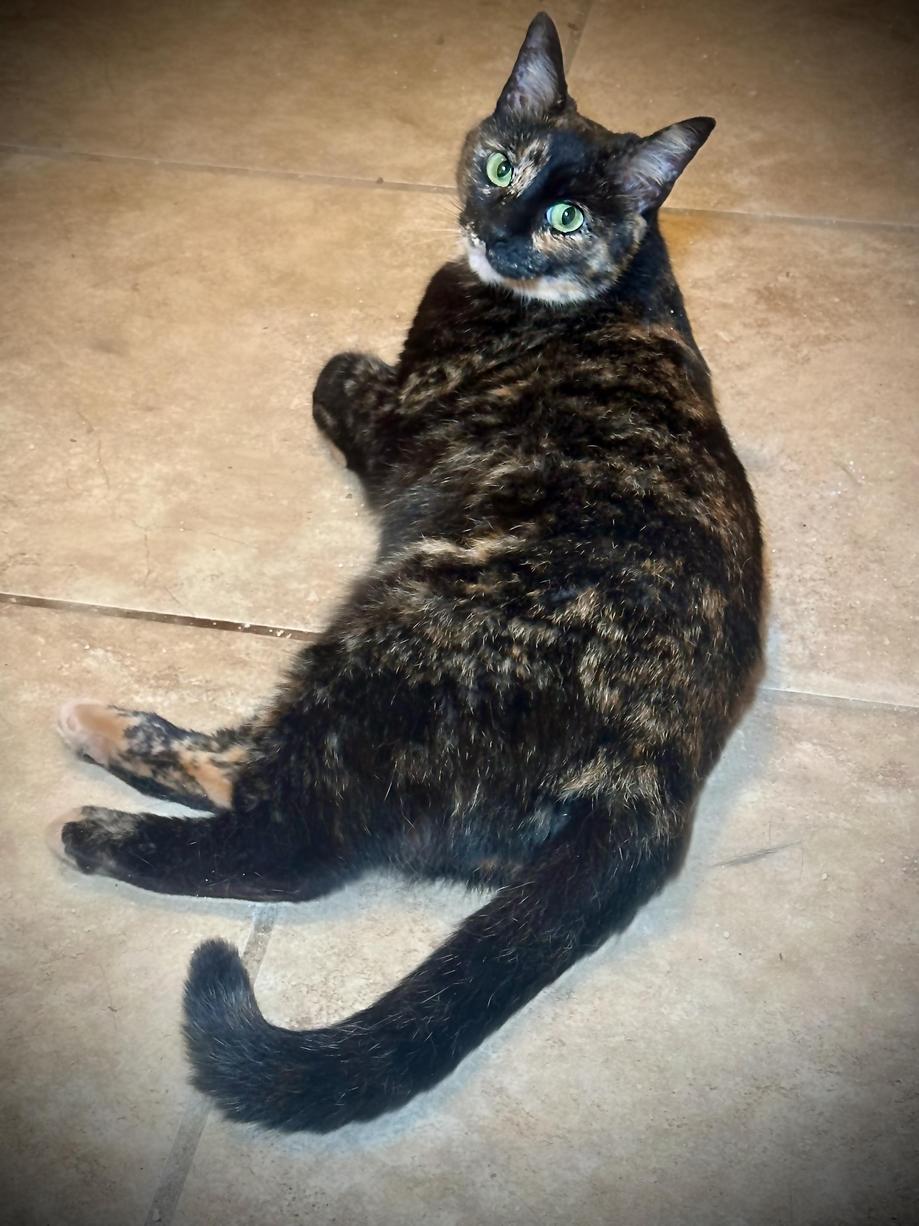 Cleopatra photo 2