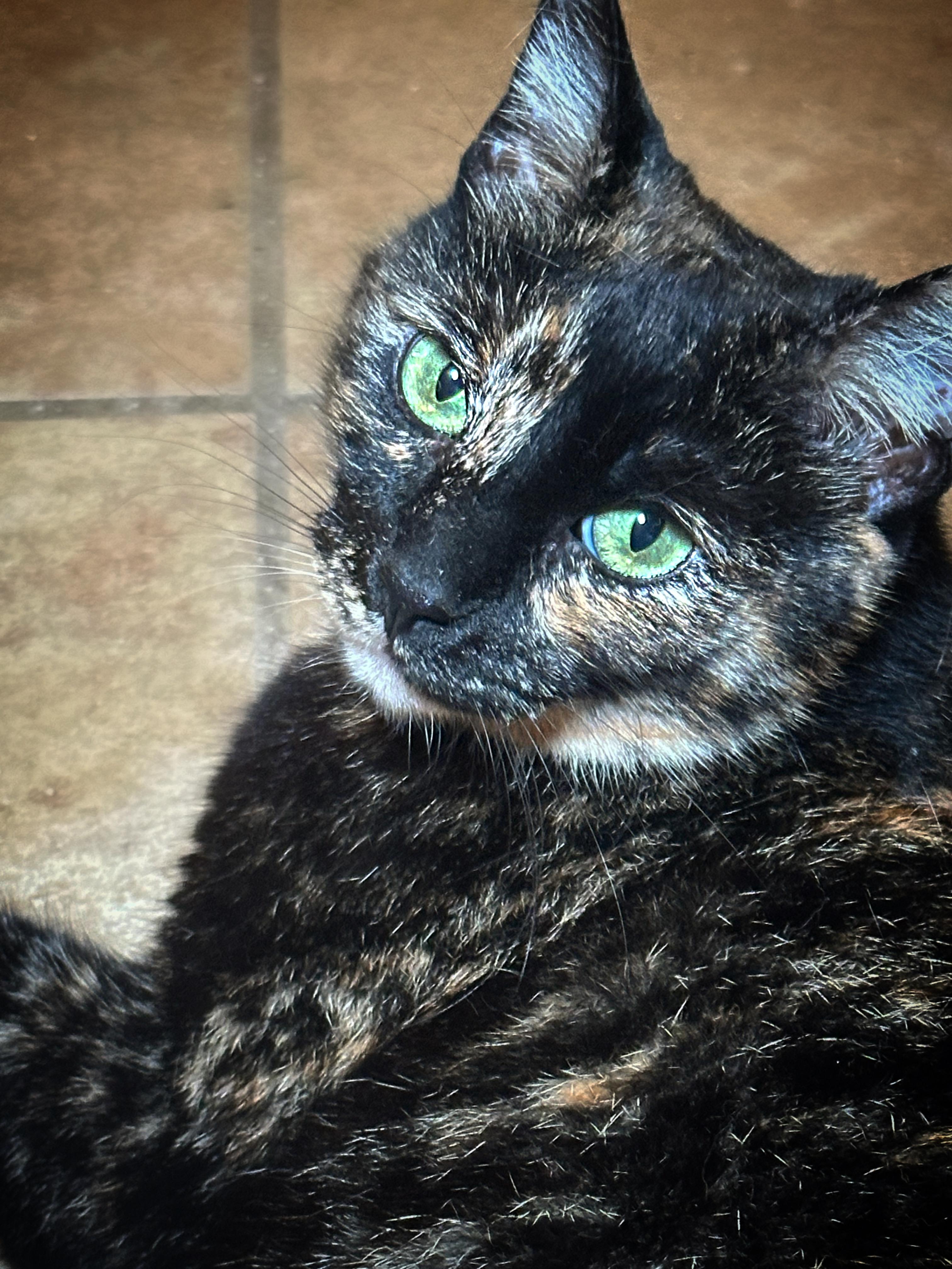 Cleopatra photo 3