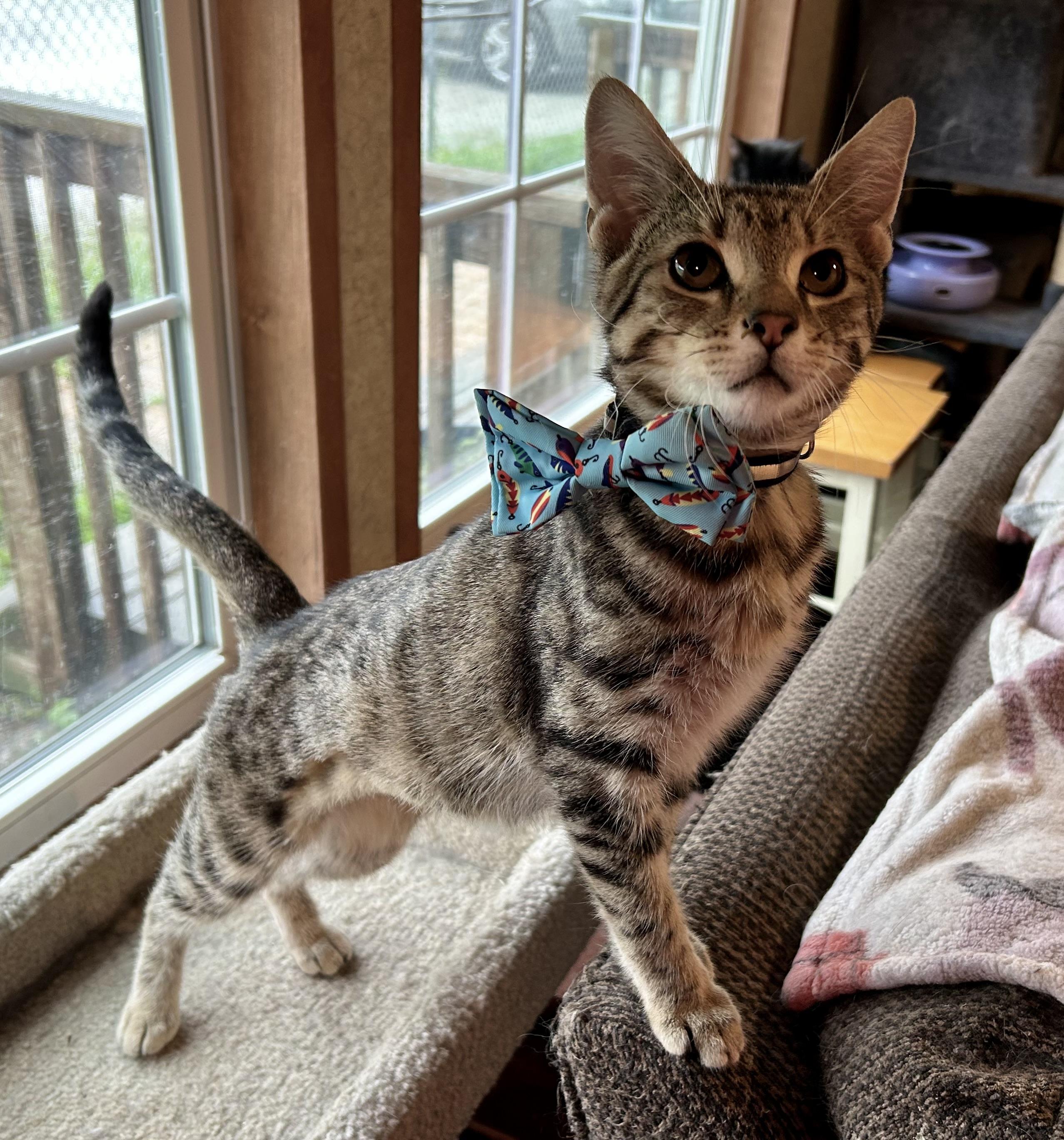 Super Tuna
