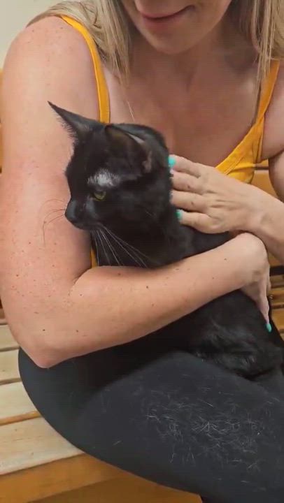 Enlarge KAREN WILSON, a Adoptable mixed breed in HEMET, CA video 6/6