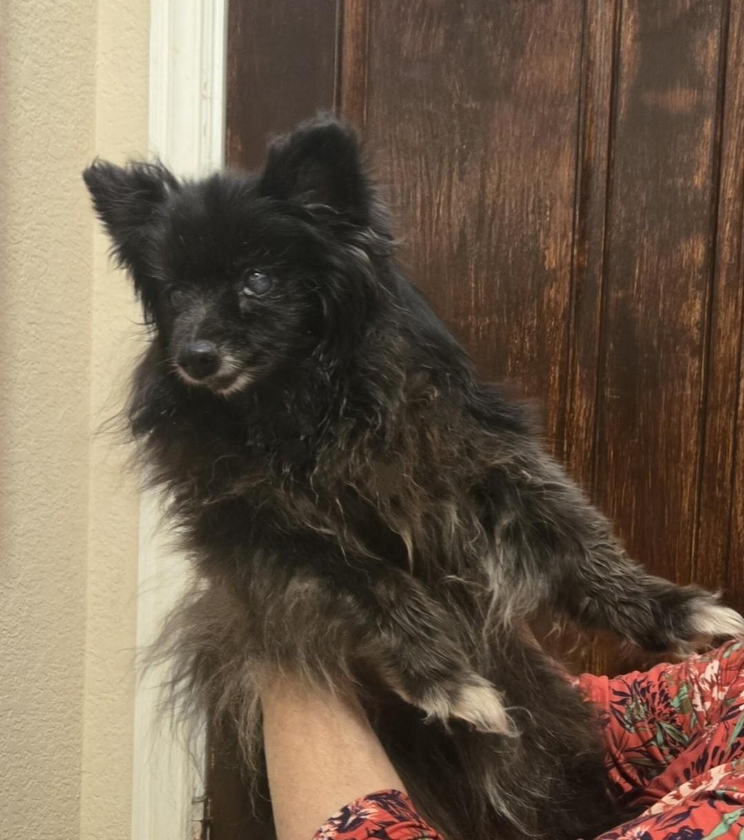 Coco-Keller, TX
