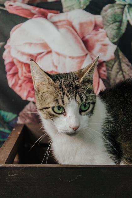 Nancy — thumbnail 2