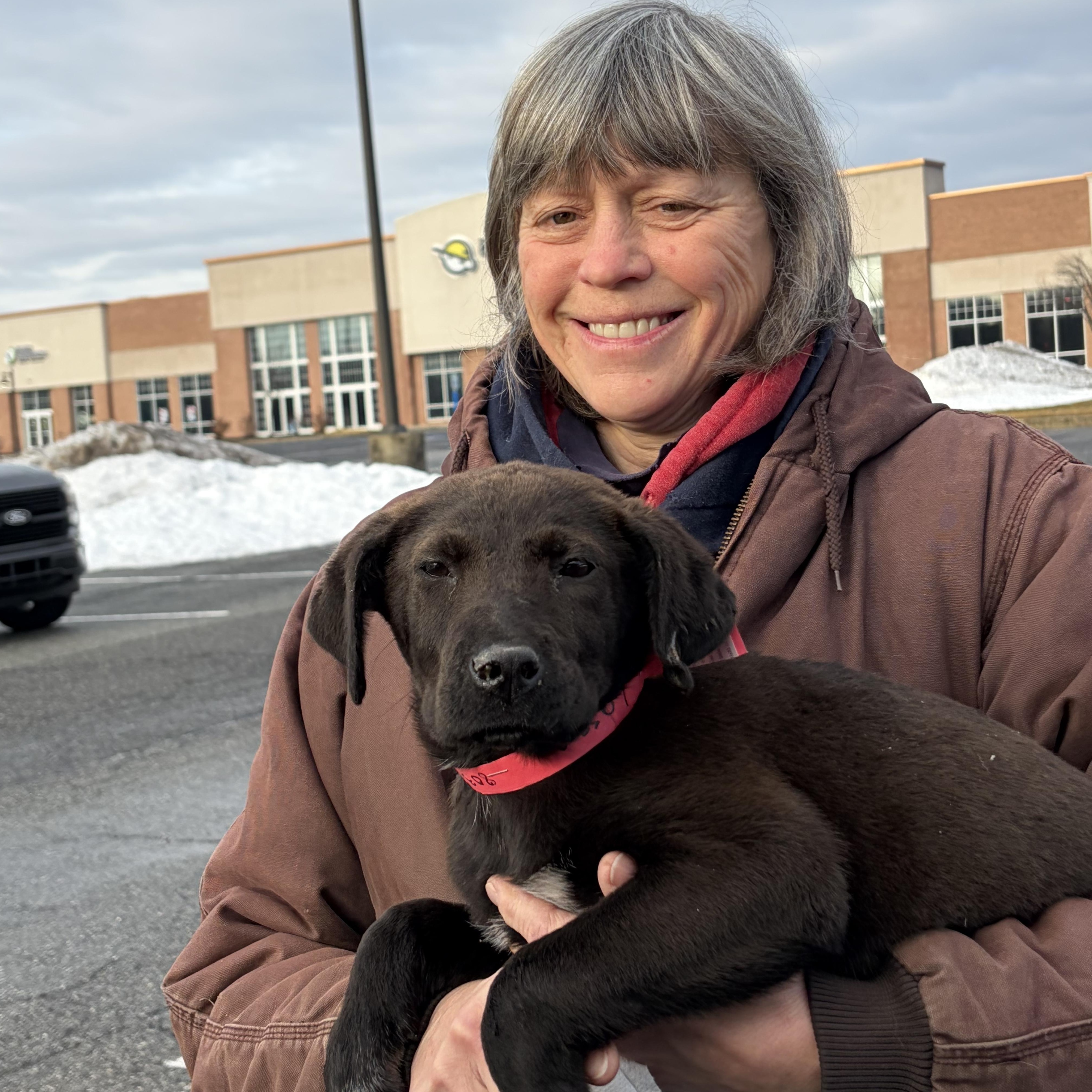 Enlarge Lassie, a ADOPTABLE mixed breed in West Grove, PA image 2/3